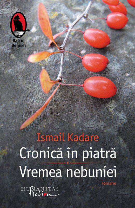 Coperta: Cronica în piatră; Vremea nebuniei